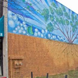 Hazel Tree Interiors Mural, Akron, Ohio
