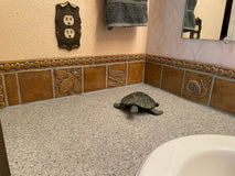 Eco-Friendly Bathroom Remodel for the Nature Lover: Wildlife-Inspired Art Tiles and Sustainable Design Choices