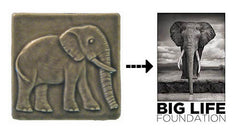 Please Help me Help Elephants!