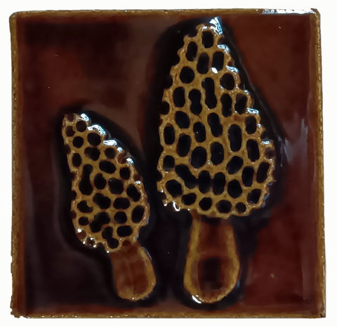 Morel 4"x4" Ceramic Handmade Tile - amber brown glaze