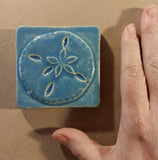 Sand dollar 3"x3" Ceramic Handmade Tile - blue isle glaze size reference