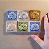 Nautilus 2"x2" Ceramic Handmade Tile - Multi Glaze
