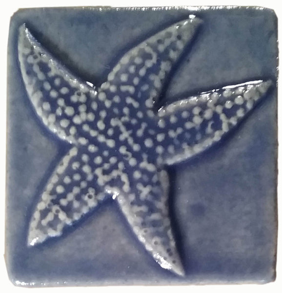 Starfish 3